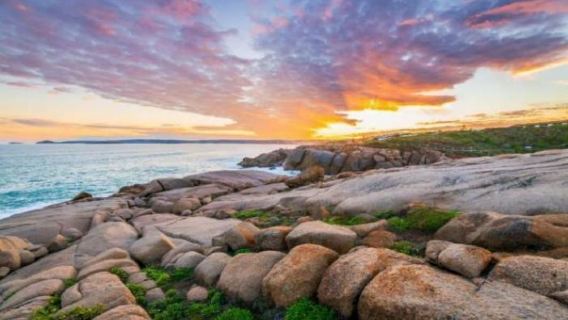 1-day tour in Adelaide - Fleurieu Peninsula cube winery, optional Victor Harbor experience and Cave Beach