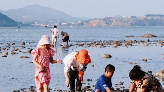 Lawatan Sehari Santai di Pantai Xiajiahezi, Dalian + Muzium Semula Jadi + Berlayar dengan Kapal Layar_ Perkhidmatan Hantar-jemput