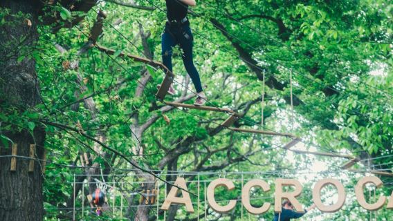 AccroCamp: Saint-Germain-en-Laye
