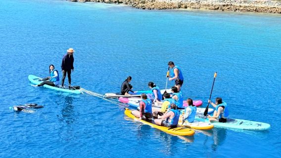 芽莊出海三島1日遊+中文導遊【泥漿浴/漿板/浮潛】含豐富午餐