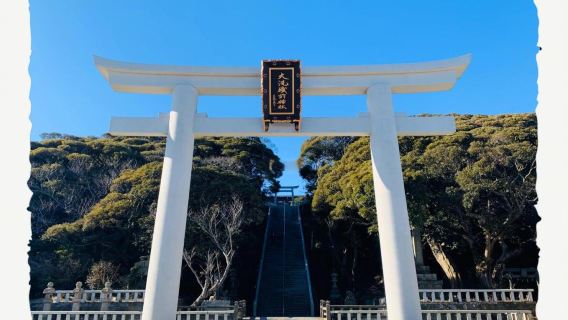 2026日本三大燈光秀-光之花庭園＆那珂湊魚市場一日遊