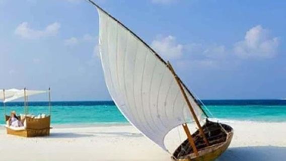 Zanzibar: Explore Giant tortoise, White Sandbanks with Lunch