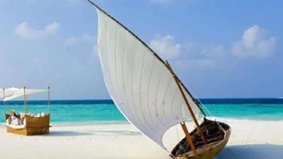 Zanzibar: Explore Giant tortoise, White Sandbanks with Lunch