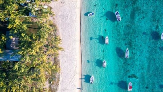 Zanzibar: dagtocht safari blue lagoon & Kwale Island