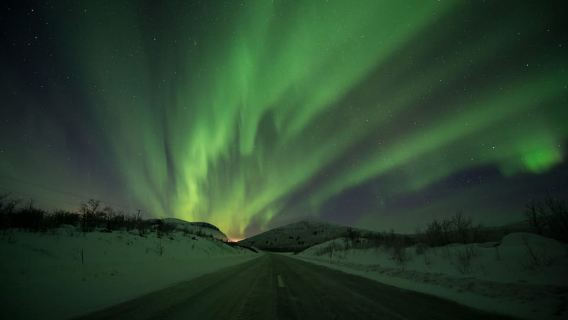 Abisko: Guided Aurora Chase with Hotel Transfers