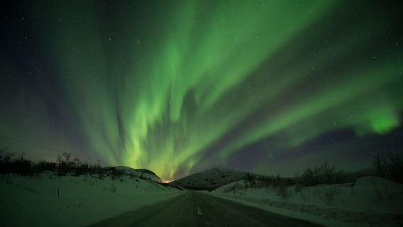 Abisko: Guided Aurora Chase with Hotel Transfers