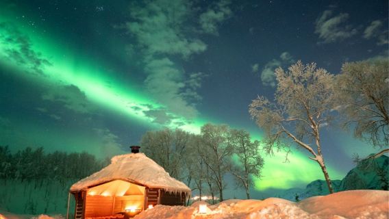 Excursion d'une journée de chasse aux aurores boréales à Tromsø en Norvège | Plusieurs options disponibles