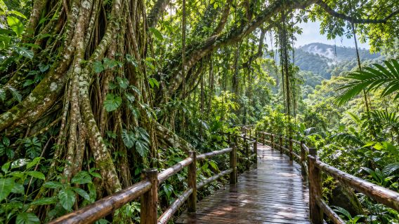 Yanoda + Atlantis Water World + Haitang Bay 1-day tour