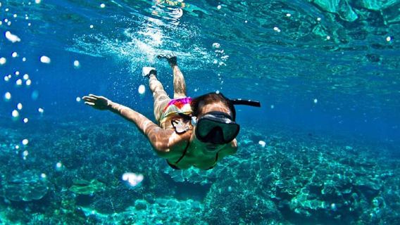 발리 로비나 비치 당일 치기 여행 [돌고래 체험, 해상 일출 관람, 스노클링, 전용 차량 픽업]