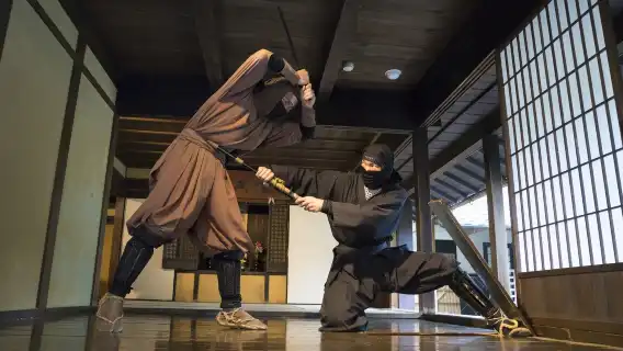 [官方票] 近鐵週遊券KINTETSU RAIL PASS 電子票券 1日券・2日券・5日券・5日券plus