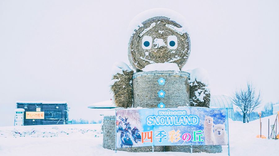 北海道旭川市旭山動物園+青池+白鬚瀑布+精靈露台遊（含動物園門票）