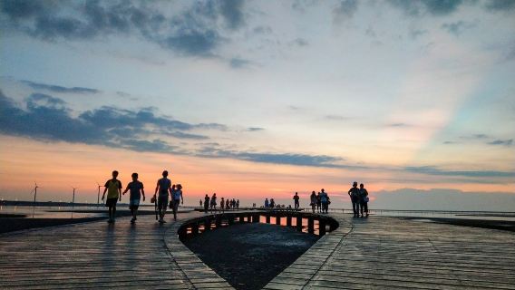 Gaomei Wetland + Miyahara Eye Clinic + Fengjia Night Market Day Tour from Taichung