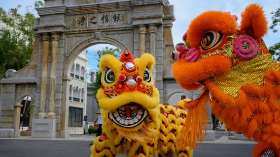 Chikan Guangdong Overseas Chinese International Tourism Resort + Torre Sud di Chikan + Tour nostalgico di un giorno a Kaiping Diaolou
