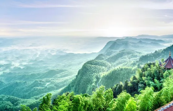 蜀南竹海竹尖漫步票大小同價