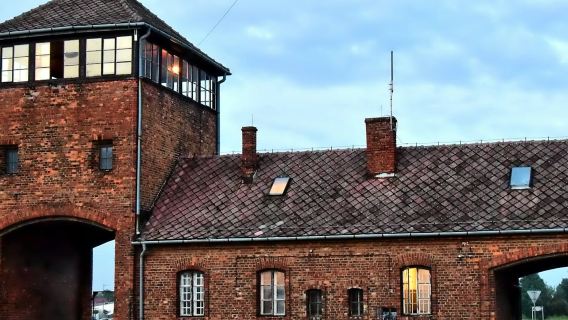 Auschwitz-Birkenau: Visita guiada + Transporte