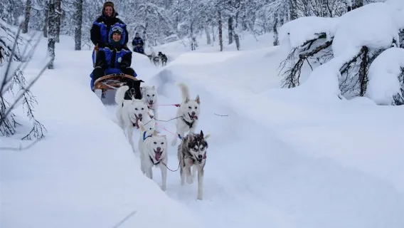Tromso · Dog sledding 4–8 hrs (multi-package optional)