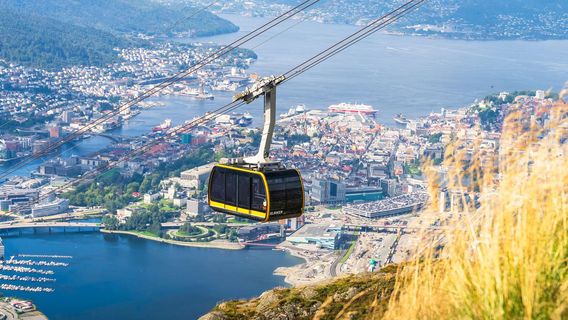 BergenTravel Services