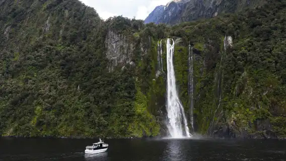 New Zealand Milford Sound one-day tour[Sinbad Luxury Cruise + Mercedes Minibus + Food and Beverages]