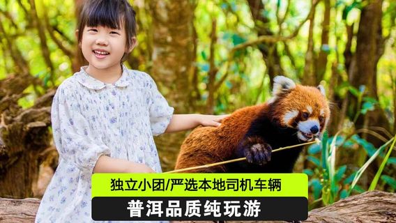 普洱日遊