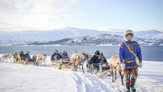 Departing from Tromso: Reindeer sledding, feeding and Sami cultural experience | English-speaking tour