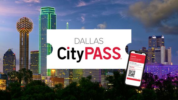 DallasTravel Services