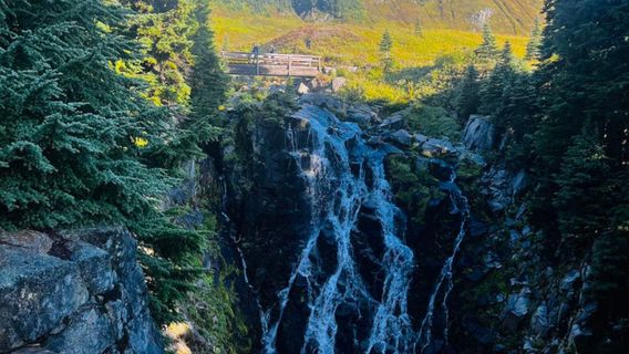西雅圖日遊