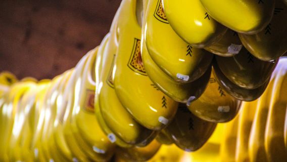 Tour to Zaanse Schans, Edam, Volendam and Marken