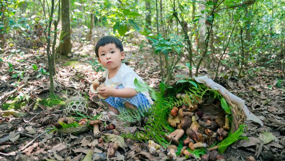 騰衝高黎貢山花寨3公里+野溫泉泡腳+趣味野餐+摘菌子一日遊