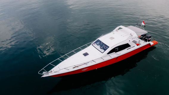 Bali Private Charter 12-Seater Stylish Speedboat Sony: 1-day tour to Penida Island and Nusa Lembongan