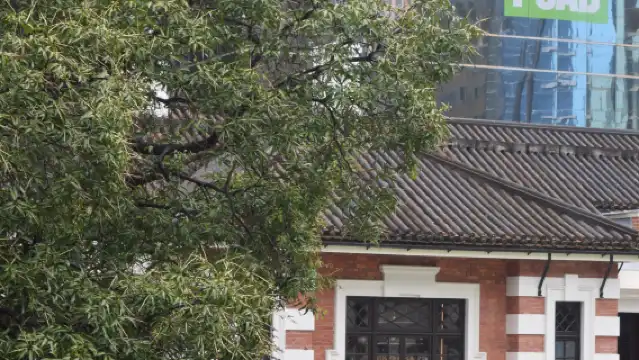 Hong Kong Centennial Heritage Tour Victoria Peak cable car Round-trip Madame Tussauds one-day tour Small Group