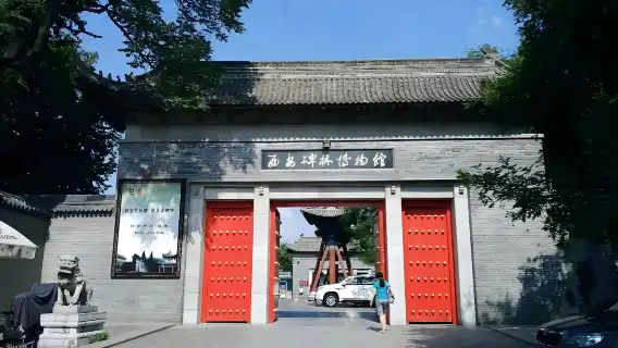 Xi'an  Professional Guide Museum Tour: Optional Terracotta Army,  Xi'an OR Shaanxi History Museum