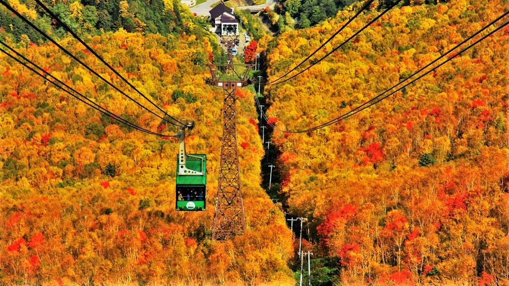 ・ふたつの声 ・Autumn Day Fall day tour | Kurodake mountain cable car for maple viewing