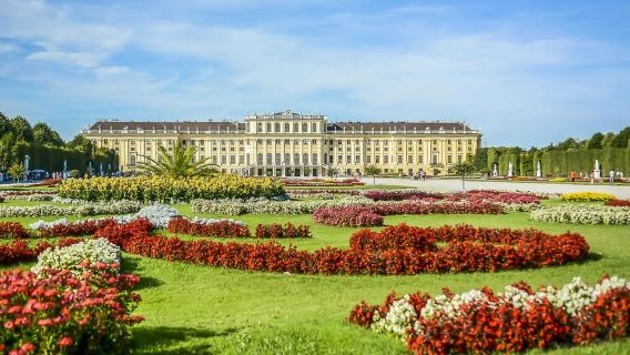 Vienna: tour salta fila del Castello e dei Giardini di Schönbrunn
