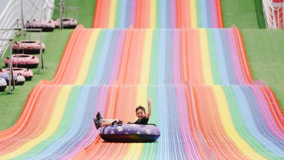 Desde Tbilisi: Excursión de un día al Puente de Diamante y al Cañón Dashbashi