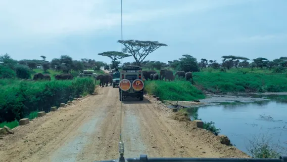 Arusha: Privater Tagesausflug in den Tarangire-Nationalpark