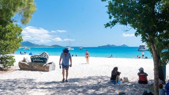 Whitsunday: Whitsunday Islands Tour mit Schnorcheln & Mittagessen