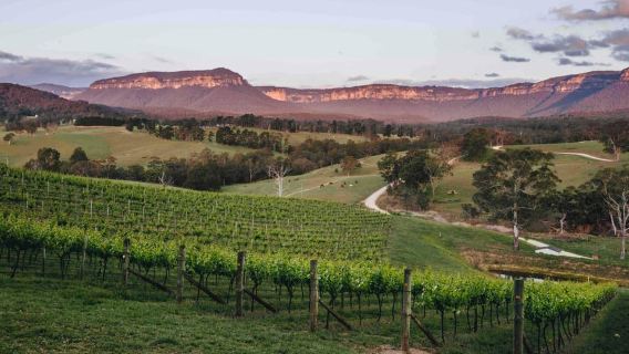 Megalong Valley: Weinprobe und Sternenbeobachtung