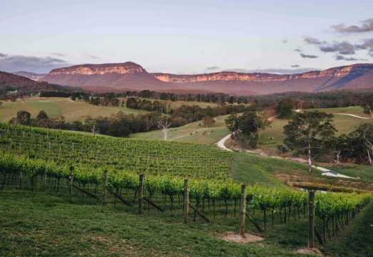 Megalong Valley: Wine Tasting and Stargazing Experience