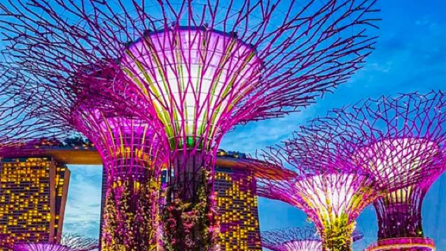 新加坡魚尾獅公園+小印度+甘榜格南+哈芝巷等一日遊【可定制】