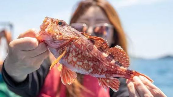 濟州島一日遊｜西南線A海釣+看海豚｜遊艇出海｜精品小團｜純玩