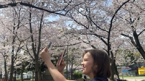 Osaka : Pique-nique printanier sous les cerisiers "Hanami"