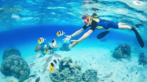 芽莊黑島+東潭島+漢潭島/迷你島三島跳島遊【海釣/槳板】