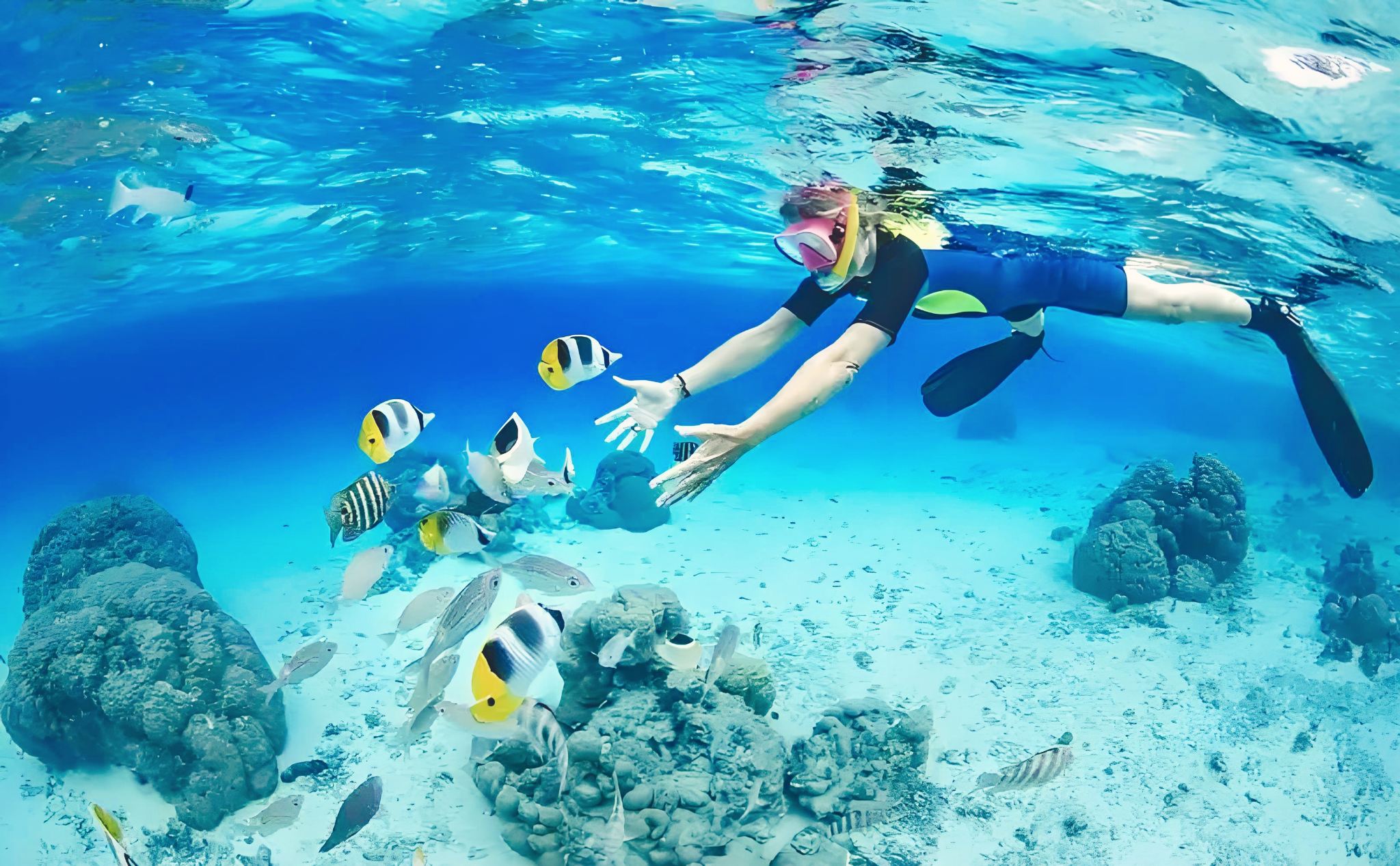 芽莊黑島+東潭島+漢潭島/迷你島三島一日遊【海釣/槳板】