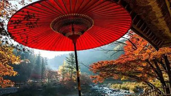 【名古屋起止】犬山城+紅葉地香嵐溪紅葉一日遊4-9人精品小團