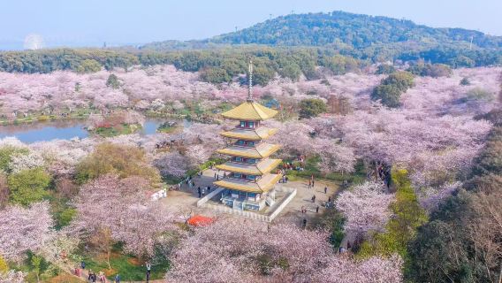 Don't miss Wuhan! Reminisce about the Yellow Crane Tower, explore the secluded East Lake, try fresh food at Hubu Alley, and travel through the thousand-year-old river city.