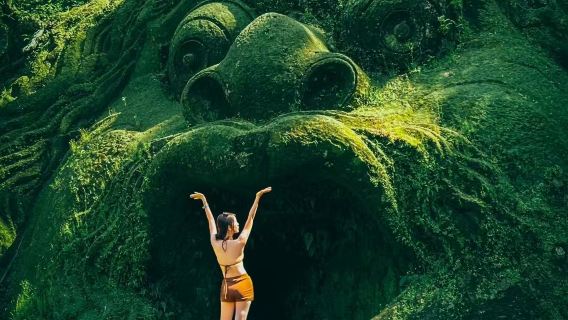 Tour di un giorno a Bali: Palazzo Ubud, Mercato di Ubud, Risaie a Terrazza di Ubud e Tempio di Tirta Empul