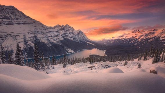 加拿大班夫國家公園一日遊<輕徒步·佩圖湖+弓湖/明尼旺卡湖>