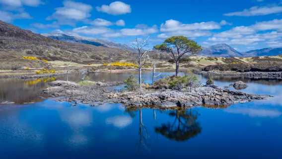 Tour di un giorno nelle Highlands settentrionali della Scozia + Ullapool + Lochinver + Strada NC500|Piccoli gruppi di lusso