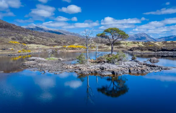 蘇格蘭北高地+阿勒浦+洛欣弗+NC500公路一日遊|舒適小巴