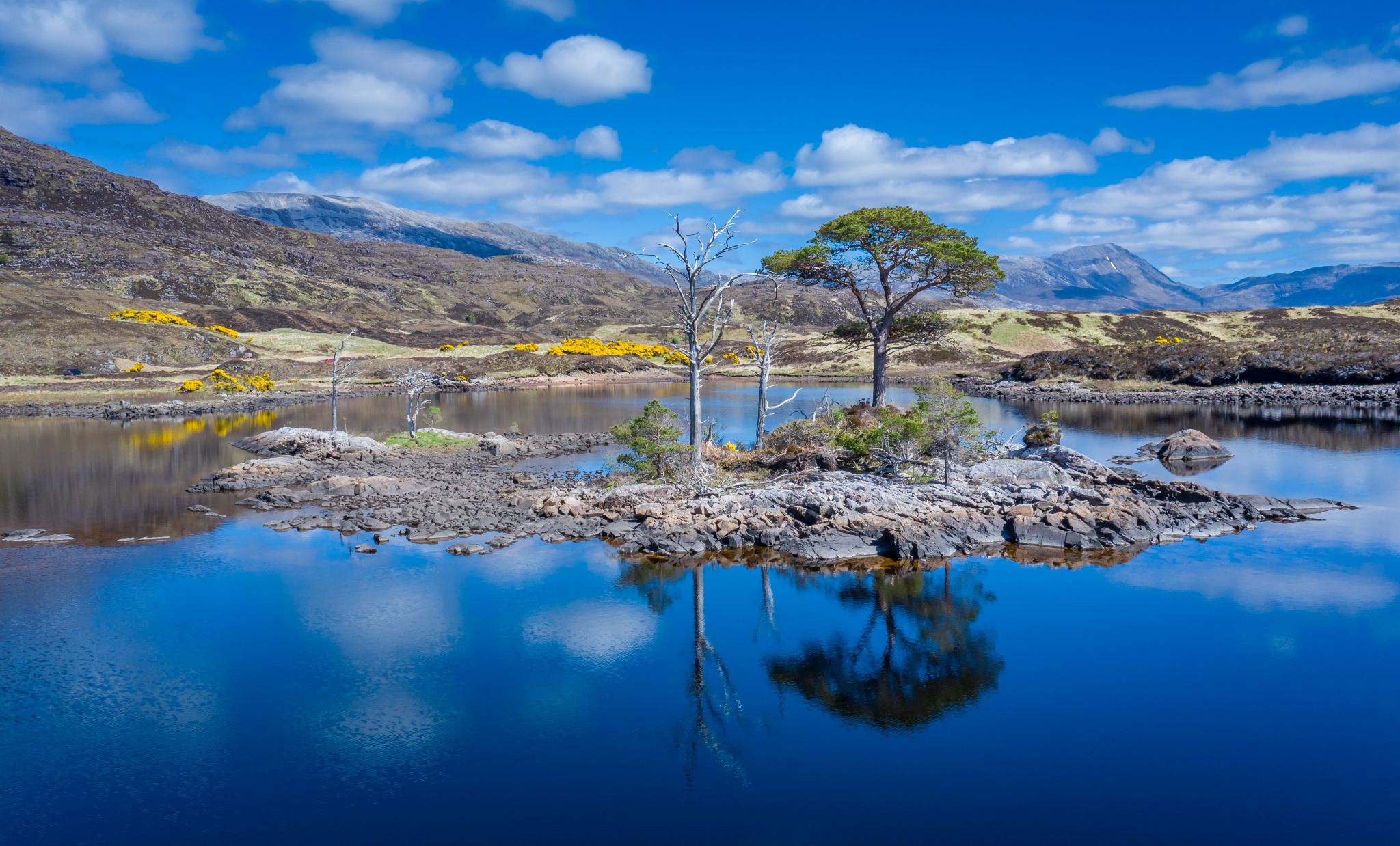 Tour di un giorno nelle Highlands settentrionali della Scozia + Ullapool + Lochinver + Strada NC500|Piccoli gruppi di lusso